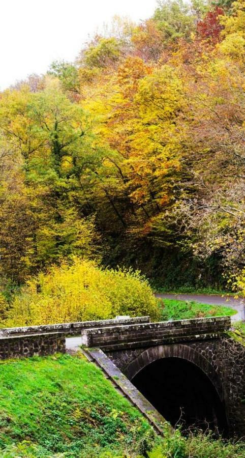 Chambres D'Hotes Le Peyroux Montcel  エクステリア 写真